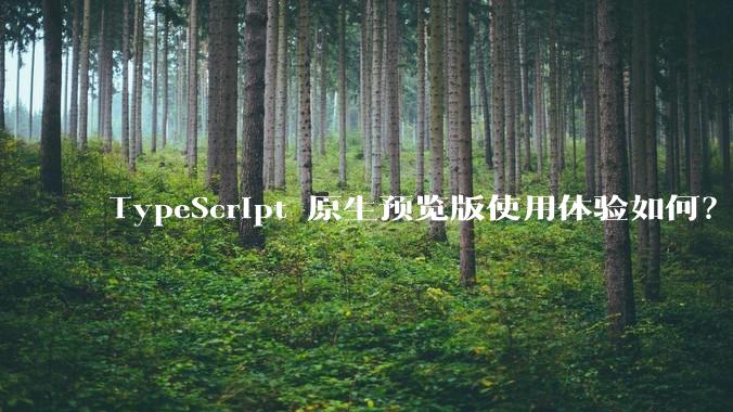 TypeScript 原生预览版使用体验如何？