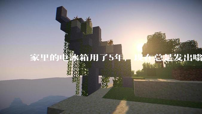 家里的电冰箱用了5年，现在总是发出嗡嗡响的声音，可能是哪里坏了？