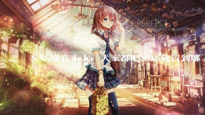 NAS噪音太大，大家都吧NAS放置到哪了？