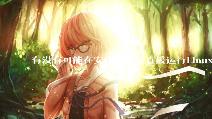 有没有可能在安卓手机上直接运行Linux？