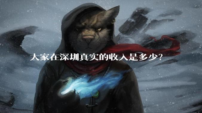 大家在深圳真实的收入是多少？