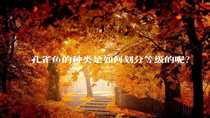 孔雀鱼的种类是如何划分等级的呢？