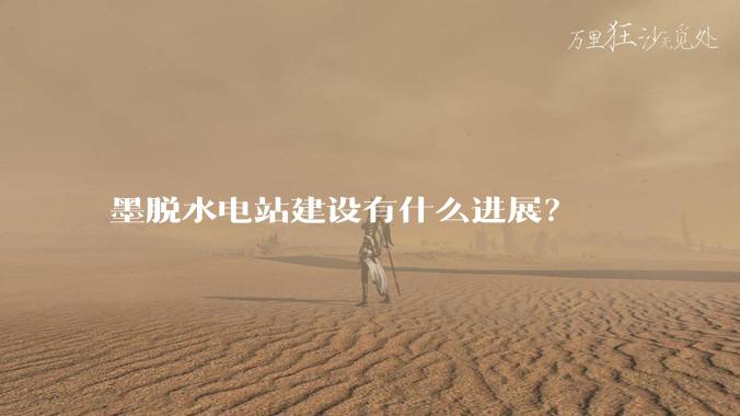 墨脱水电站建设有什么进展？