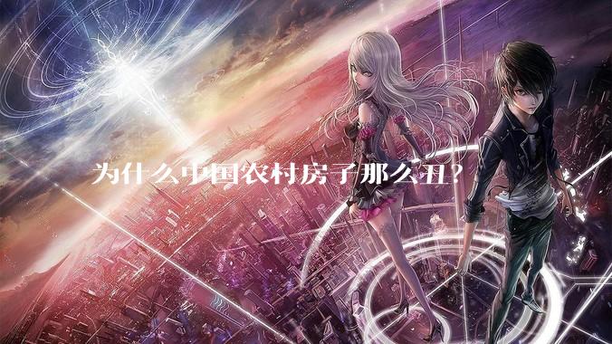 为什么中国农村房子那么丑？