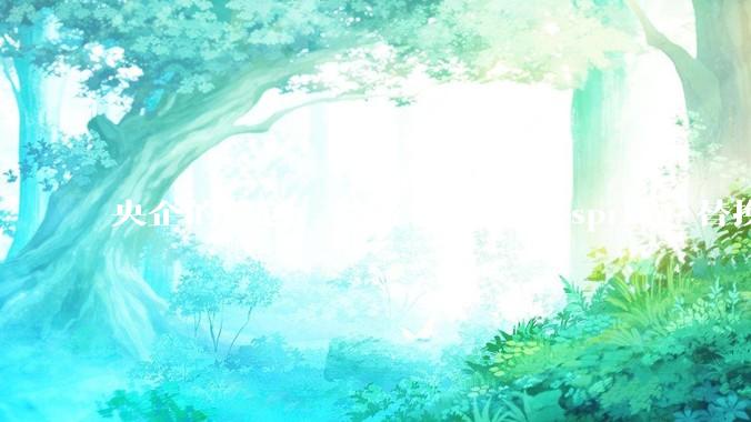 央企的信创，是否有必要把 spring 替换成国产的 solon ？